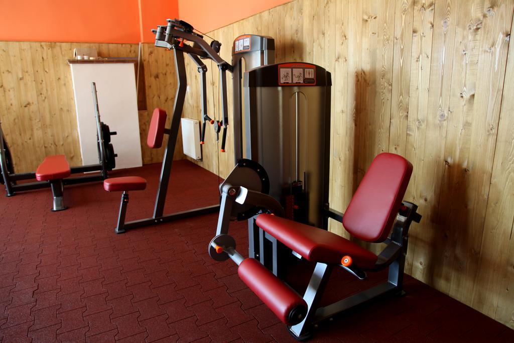 Mlyn Penzion & Wellness Radvan nad Dunajom Экстерьер фото